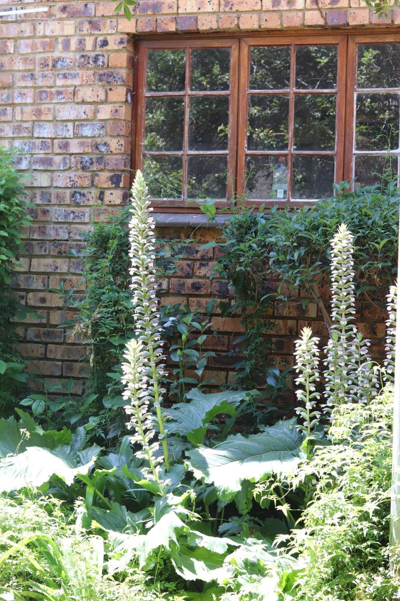卡亚非洲小屋 米德兰 外观 照片
